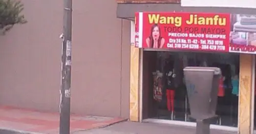 WANG JIANFU WANG JIANFU